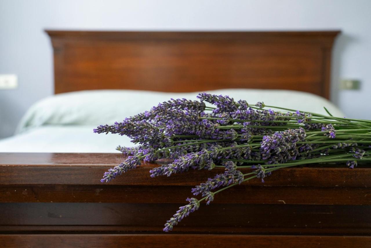 Lago Maggiore A 10 Minuti "Cascina Lavanda" Casalzuigno 外观 照片