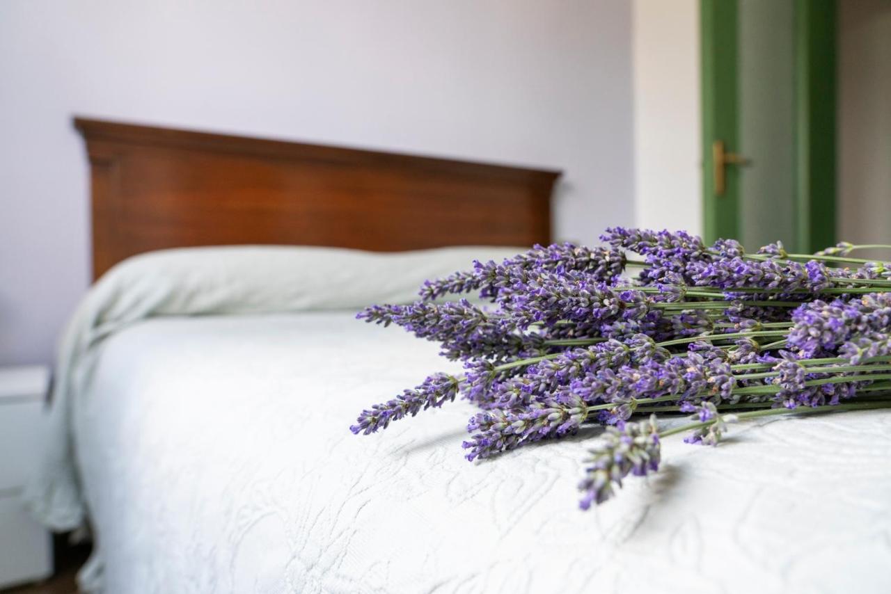Lago Maggiore A 10 Minuti "Cascina Lavanda" Casalzuigno 外观 照片