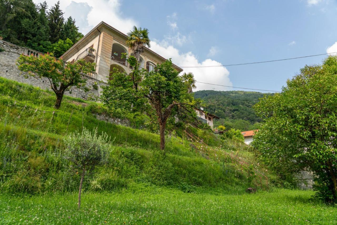 Lago Maggiore A 10 Minuti "Cascina Lavanda" Casalzuigno 外观 照片